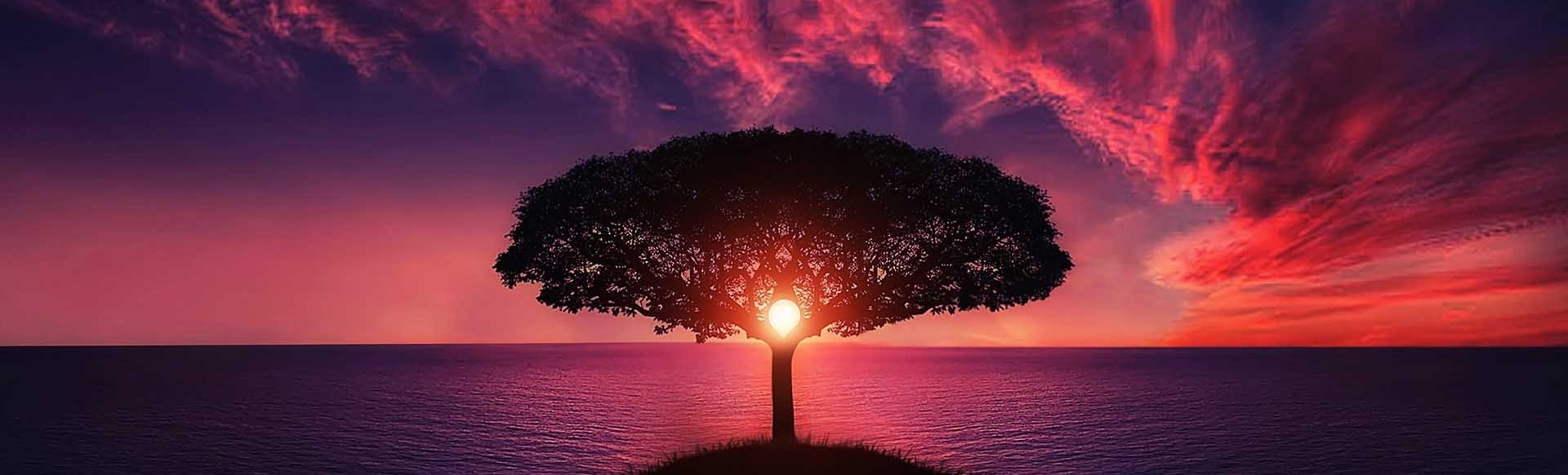 Beglaubigte Übersetzung Sterbeurkunde